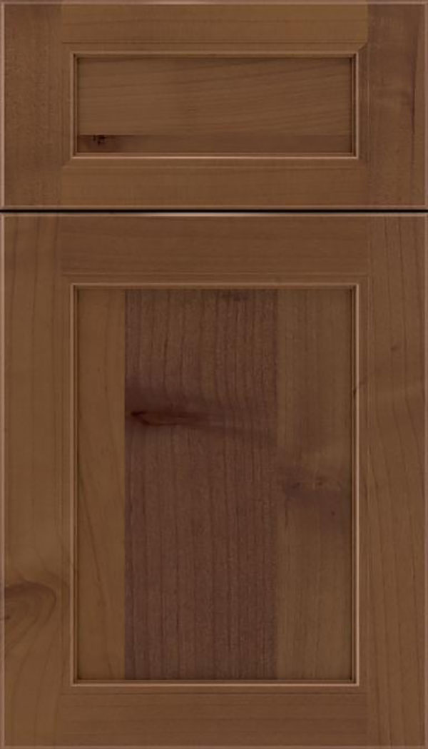 Templeton 5pc Alder recessed panel cabinet door in Sienna